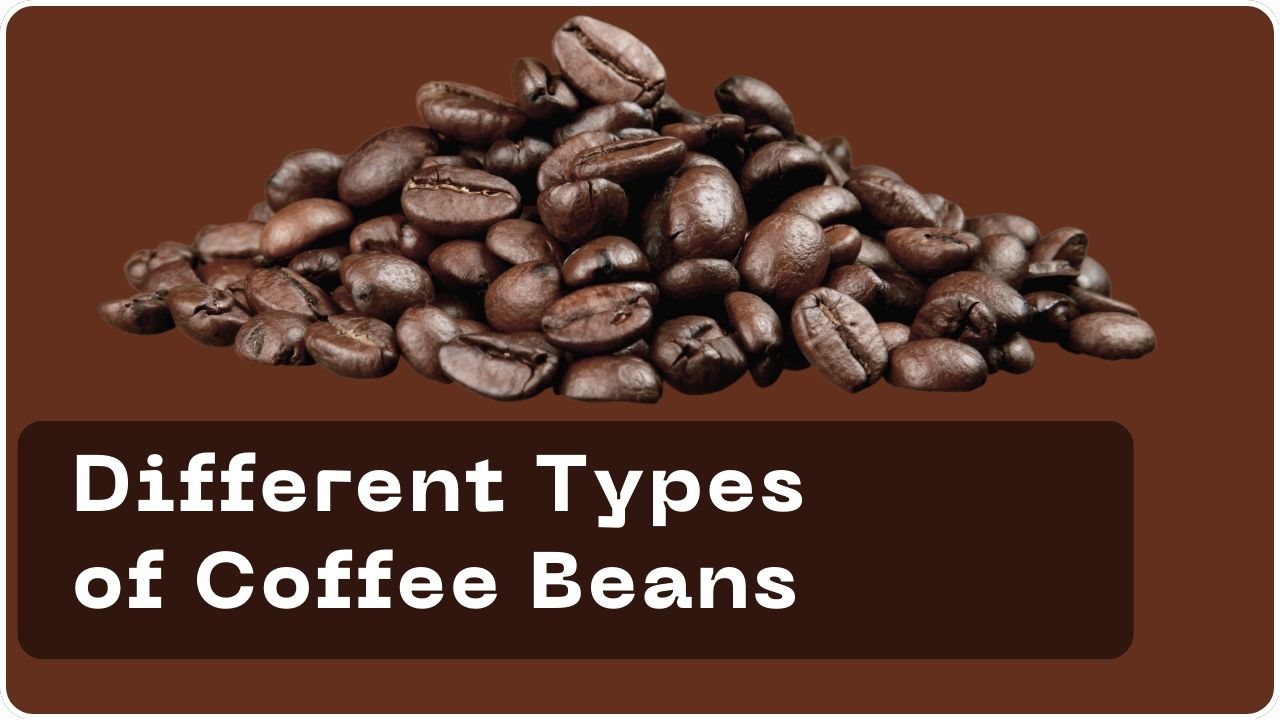 Exploring the Different Types of Coffee Beans: A Comprehensive Overview