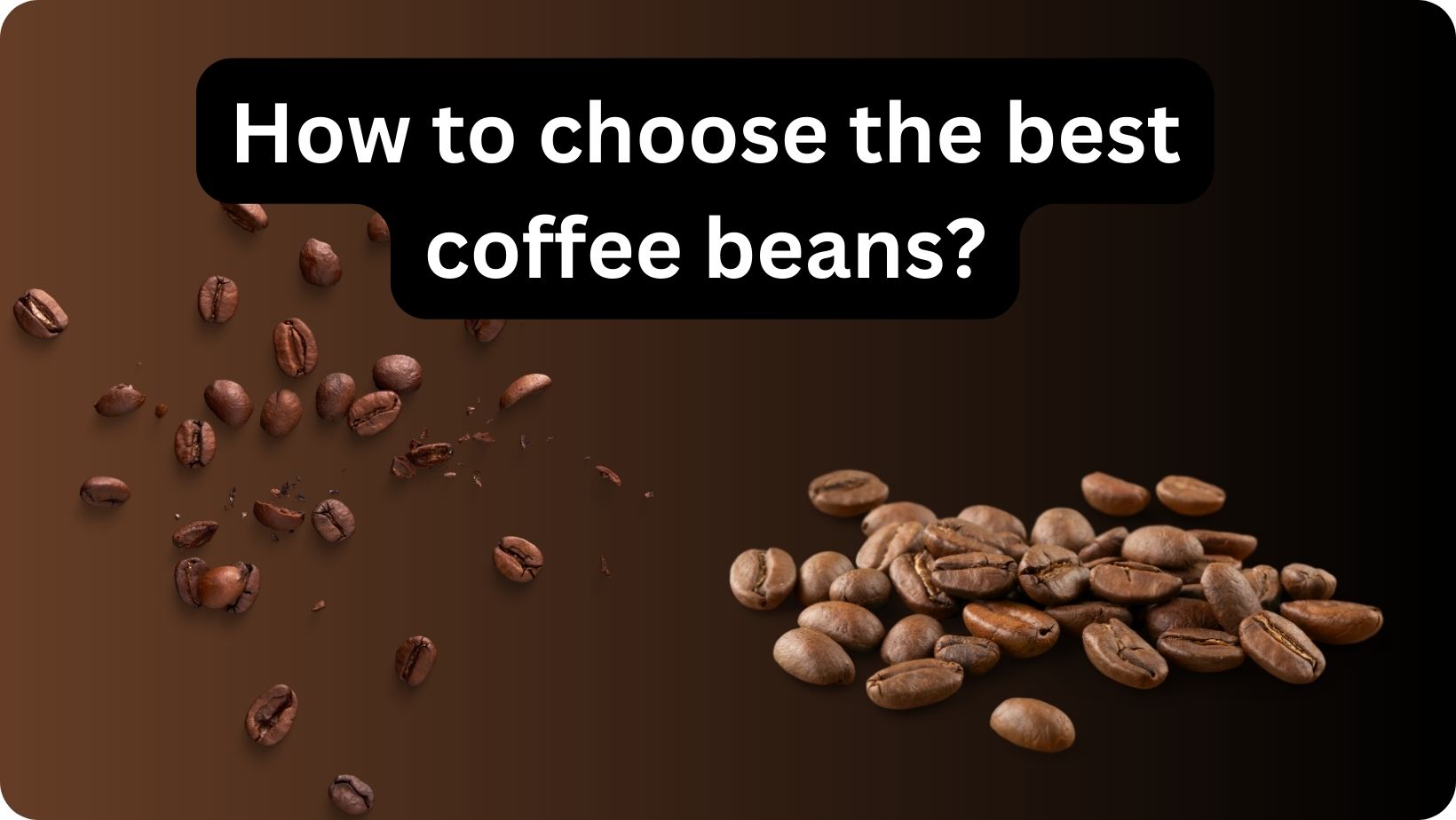 How to choose the best coffee beans?