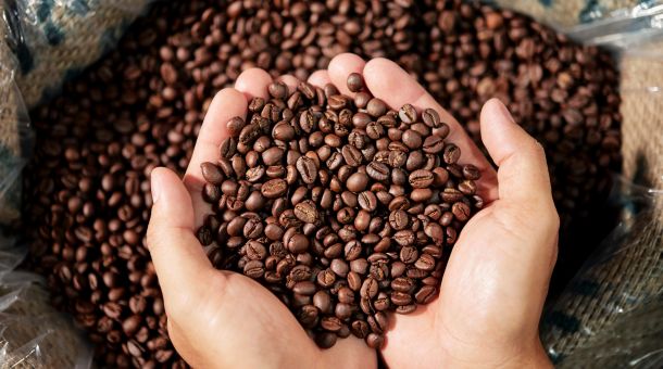 Understanding Coffee Roasting Levels and Their Flavor Effects: