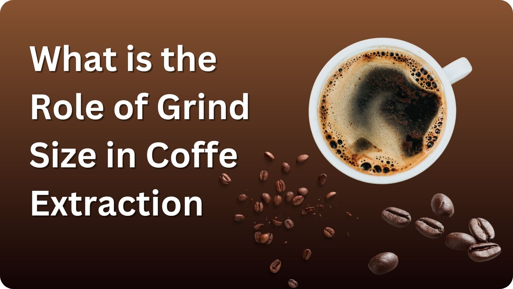 What is the Role of Grind Size in Coffe Extraction?