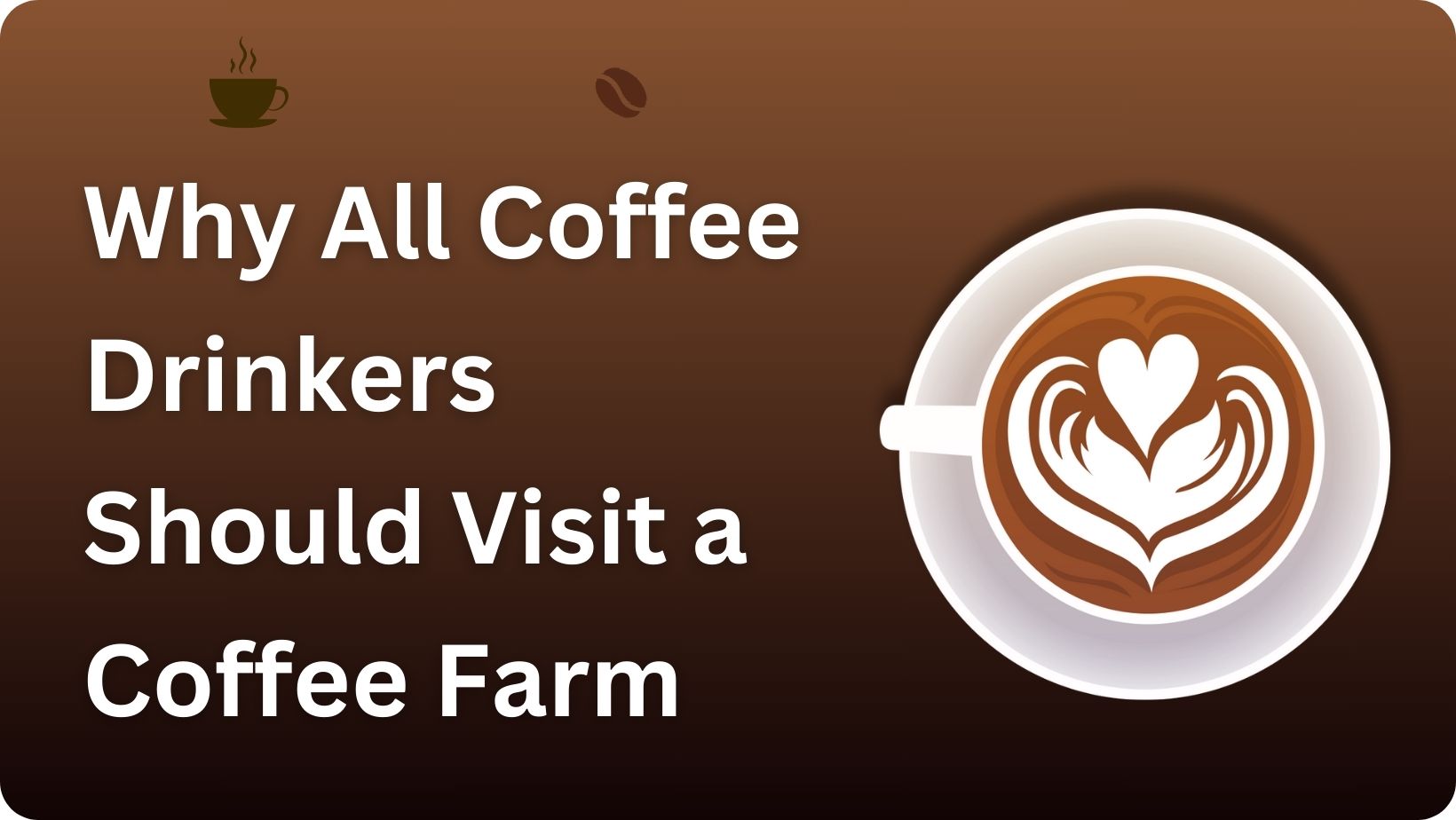 Why All Coffee Drinkers Should Visit a Coffee Farm?